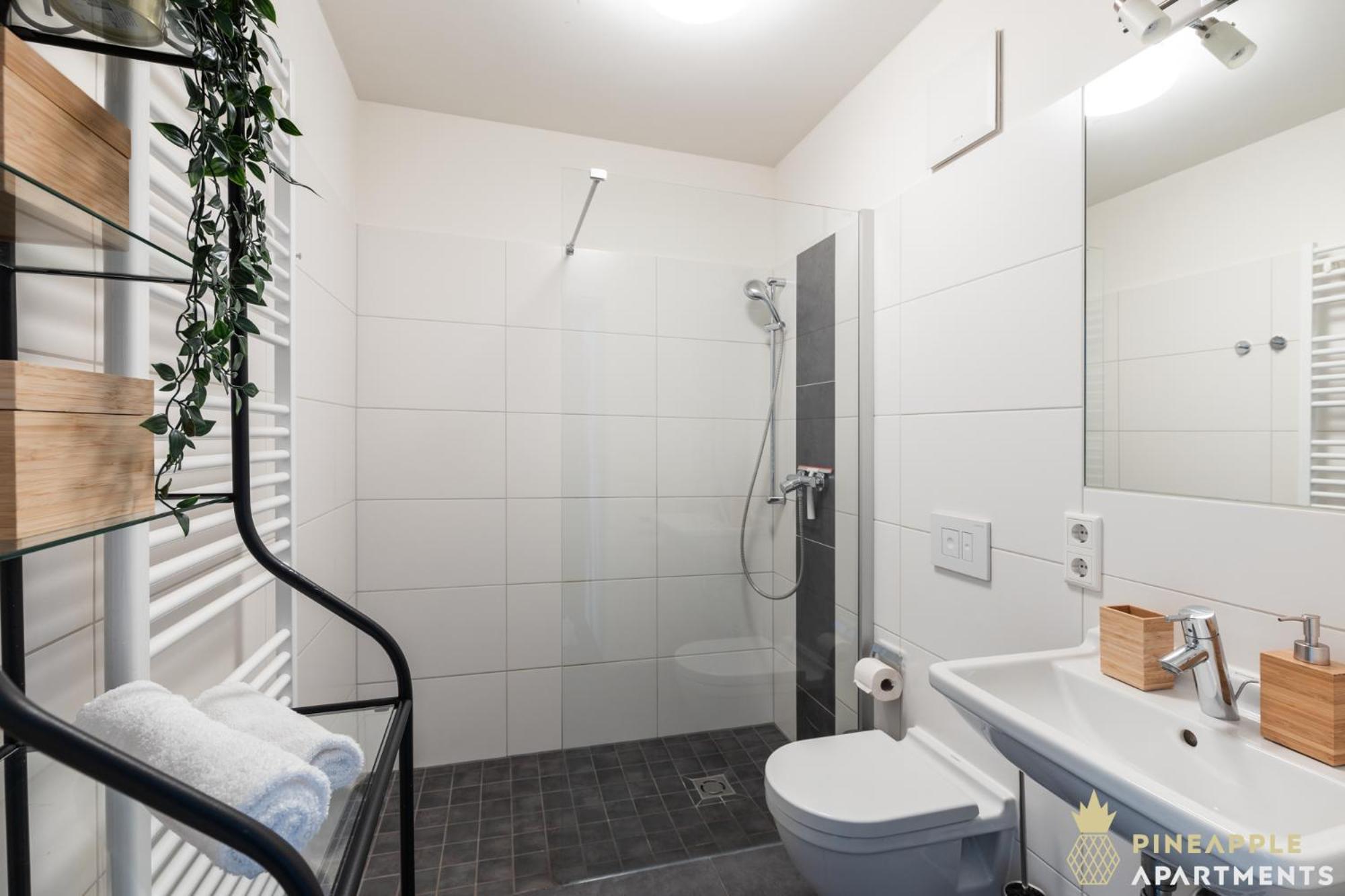 Pineapple Studio-apartment Am Zwinger Apartment Dresden